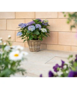 Diephaus Schalungsstein, Ca. B50/H25/T24 Cm -Garten Umfassend Geschäft 4382347 WE MO 001 DiephausCONOSCHALUNGSSTEINSANDSTEIN