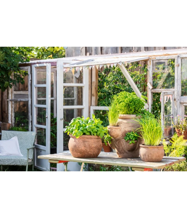 Dehner Terrakotta-Erdbeer- Und Kräutertopf, Antik-terrakotta, Ca. Ø40/H36 Cm – Bild 2