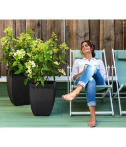 Dehner Strandstuhl Aruba 10 Dehner Strandstuhl Aruba -Garten Umfassend Geschäft 4418422 WE MO 002 StrandstuhlArubaNeu