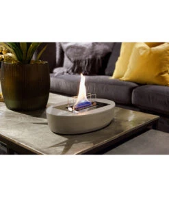 Tenderflame Carnation -Garten Umfassend Geschäft 4488177 WE MO 001 TenderflameCarnation