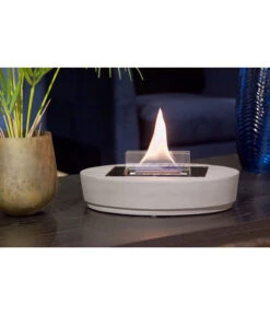 Tenderflame Carnation -Garten Umfassend Geschäft 4488177 WE MO 002 TenderflameCarnation