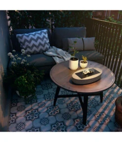 Tenderflame Carnation -Garten Umfassend Geschäft 4488177 WE MO 004 TenderflameCarnation