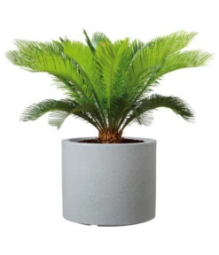 Scheurich Kunststoff-Topf Riva, Rund -Garten Umfassend Geschäft 4498838 WE FS 002 ScheurichKunststoffTopfRivarund