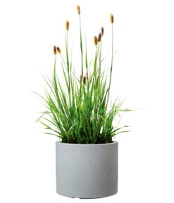 Scheurich Kunststoff-Topf Riva, Rund -Garten Umfassend Geschäft 4498838 WE FS 003 ScheurichKunststoffTopfRivarund