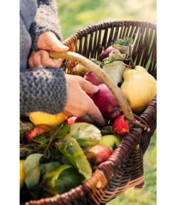 Dehner Weidenkorb Mit Bügel, Ca. B55/H27/T34 Cm -Garten Umfassend Geschäft 482976 WE DE 001 WeidenkorbMitBuegel