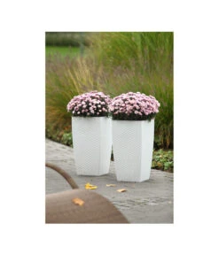 Dehner Kunststoff-Flechttopf Dallas, Quadratisch -Garten Umfassend Geschäft 5336508 WE MO 002 KunststoffFlechttopf30x30cmWeissDehnerLiving