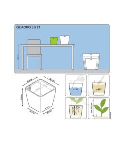 LECHUZA® QUADRO LS, All-in-One-Set -Garten Umfassend Geschäft 5390174 3175270 5473541 5390182 5390190 5390166 WE DE 001 QuadroPremium21