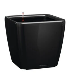 LECHUZA® QUADRO LS, All-in-One-Set