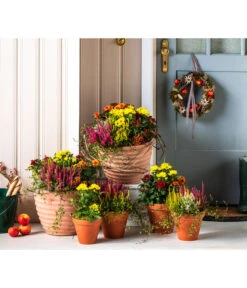 Vasar Kunststoff-Topf Murano -Garten Umfassend Geschäft 6138028 WE MO 001 KranzApfel Herbst