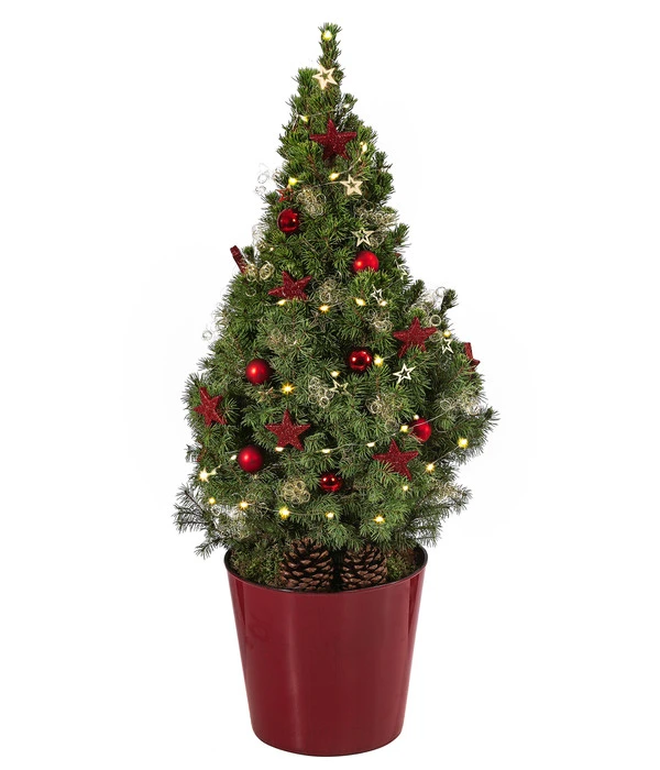 Geschmückter Weihnachtsbaum Antik, Mit Lichterkette, Ca. H70 Cm 3 Geschmückter Weihnachtsbaum Antik, Mit Lichterkette, Ca. H70 Cm