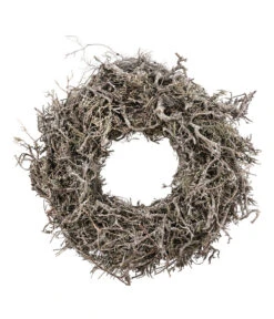 Dehner Kranz Bonsai Blato, Ca. Ø30 Cm