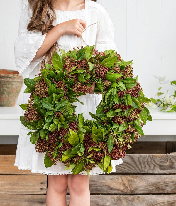 Dehner Kranz Viburnum, Ca. Ø36 Cm 4 Dehner Kranz Viburnum, Ca. Ø36 Cm – Bild 2