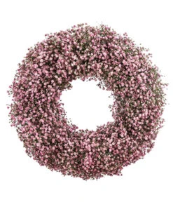 Dehner Kranz Schleierkraut, Rosa, Ca. Ø36 Cm