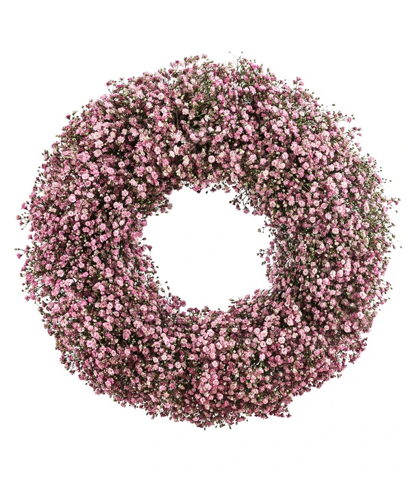 Dehner Kranz Schleierkraut, Rosa, Ca. Ø36 Cm 3 Dehner Kranz Schleierkraut, Rosa, Ca. Ø36 Cm