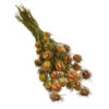 Trockenblumenbund Nigella Mit Fruchtstand -Garten Umfassend Geschäft 6284236 PR FS 001 NigellaFruchtstandBundDehnerExpressHerzig