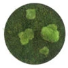StyleGREEN Bild Aus Wald- Und Kugelmoos, Kreisförmig, Ca. Ø34 Cm -Garten Umfassend Geschäft 6429765 WE FS 001 Wald KugelmoosbildD34cm