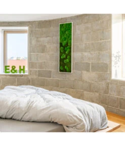 StyleGREEN Bild Aus Wald- Und Kugelmoos Im Verlauf, Ca. B140/H40/T7 Cm 8 StyleGREEN Bild Aus Wald- Und Kugelmoos Im Verlauf, Ca. B140/H40/T7 Cm -Garten Umfassend Geschäft 6429799 PR MO 001 Wald Kugelmoosbild140x40cm