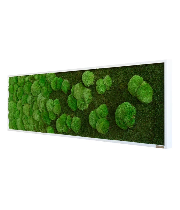 StyleGREEN Bild Aus Wald- Und Kugelmoos Im Verlauf, Ca. B140/H40/T7 Cm 4 StyleGREEN Bild Aus Wald- Und Kugelmoos Im Verlauf, Ca. B140/H40/T7 Cm – Bild 2