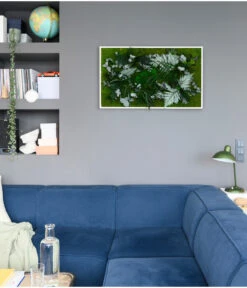 StyleGREEN Bild Im Dschungeldesign, Rechteckig, Ca. B100/H60/T20 Cm -Garten Umfassend Geschäft 6429823 WE MO 001 Pflanzenbild100x60cm