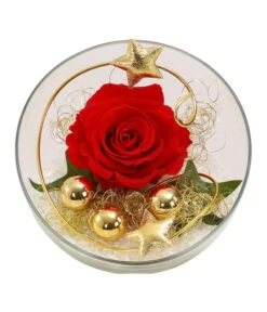 Longlife-Rose, Ca. Ø3 Cm -Garten Umfassend Geschäft 6592539 WE FS 001 LongLifeRoseRotinGlaskugel