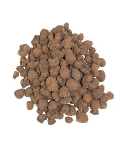 Floragard Tongranulat -Garten Umfassend Geschäft 6624290 WE DE 001 FloragardTongranulat