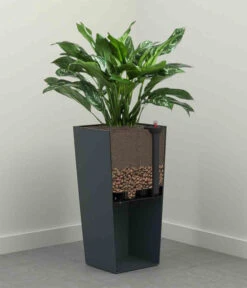 Siena Garden Kunststoff-Säule Lyon, Konisch, Ca. B35/H68/T35 Cm 12 Siena Garden Kunststoff-Säule Lyon, Konisch, Ca. B35/H68/T35 Cm -Garten Umfassend Geschäft 6655351 WE DE 001 PflanzgefaessLyon35Anthrazit