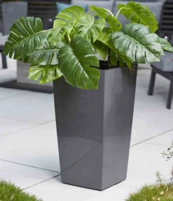 Siena Garden Kunststoff-Säule Lyon, Konisch, Ca. B35/H68/T35 Cm 10 Siena Garden Kunststoff-Säule Lyon, Konisch, Ca. B35/H68/T35 Cm -Garten Umfassend Geschäft 6655351 WE MO 002 PflanzgefaessLyon35Anthrazit