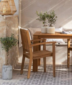 Olive, Busch, In Keramik, Ca. Ø16/H40 Cm -Garten Umfassend Geschäft 6657415 WE MO 002 GruppeHavanna