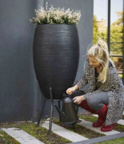 Capi Europe Kunststoff-Regentonne Rib, 130 L -Garten Umfassend Geschäft 6695100 WE MO 001 CapiEuropeKunststoffRegentonneRib130l