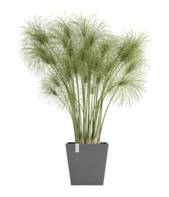 Ecopots Kunststoff-Topf Rotterdam Inkl. Wassersystem, Quadratisch