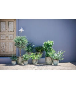 Dehner Keramik-Topf Rombus -Garten Umfassend Geschäft 6703276 6703284 6703292 6703300 WE MO 002 DehnerKeramikTopfRombus