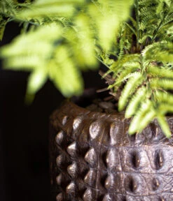 Fleur Ami Kunststoff-Topf Croc, Konisch, Bronze, Ca. Ø47/H56 Cm -Garten Umfassend Geschäft 6758999 WE MO 002 FleurAmiPflanzgefaessCroc