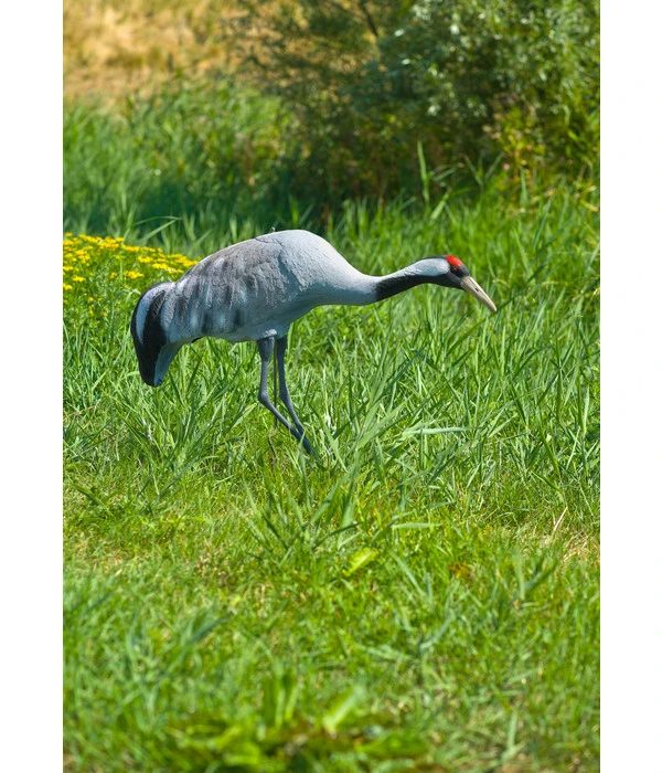 Ubbink Kunststoff-Kanadischer Kranich, Ca. B66/H121/T20 Cm 4 Ubbink Kunststoff-Kanadischer Kranich, Ca. B66/H121/T20 Cm – Bild 2