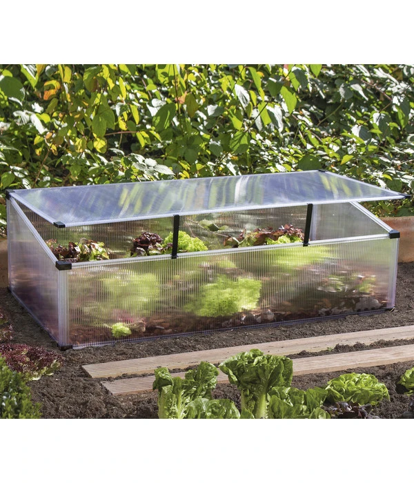 Vitavia Frühbeet Feronia, Ca. B104/H36/T56 Cm 4 Vitavia Frühbeet Feronia, Ca. B104/H36/T56 Cm – Bild 2