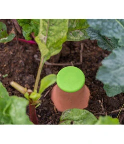 Bio Green Bewässerungssystem Hydro Max -Garten Umfassend Geschäft 6895957 6895965 6939060 WE DE 005 BioGreenBewaesserungssystemHydroMax