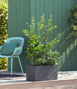 Kunststoff-Kasten Kebe, Rechteckig, Ca. B100/H40/T40 Cm -Garten Umfassend Geschäft 6935449 WE MO 001 PflanzkastenKebeAnthrazit