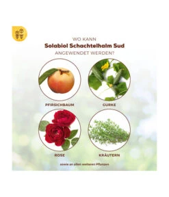 Solabiol® Schachtelhalm Sud, 1 L 11 Solabiol® Schachtelhalm Sud, 1 L -Garten Umfassend Geschäft 6938187 WE DE 003 SolabiolSchachtelhalmSud