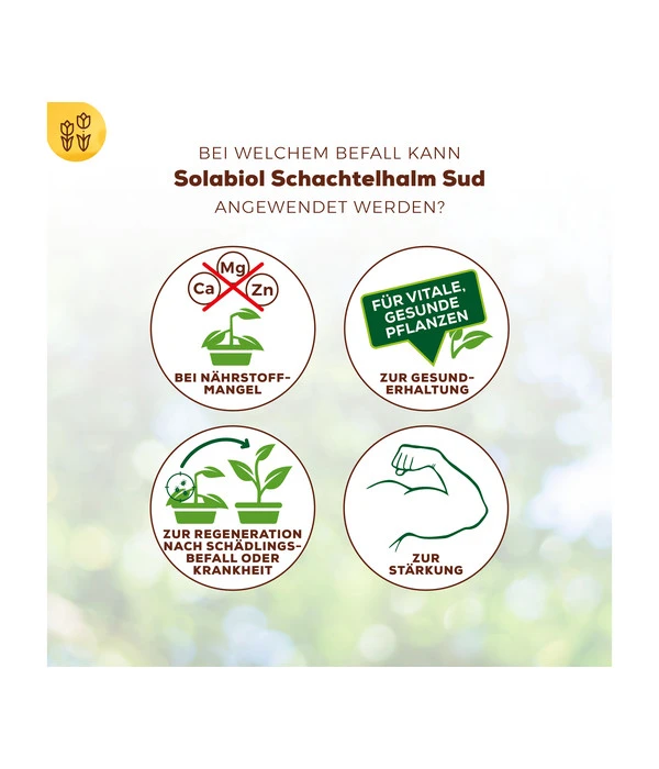 Solabiol® Schachtelhalm Sud, 1 L 7 Solabiol® Schachtelhalm Sud, 1 L – Bild 5