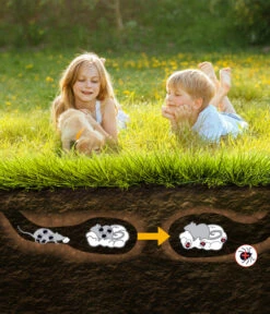 Thermacell Zeckenschutz Protect -Garten Umfassend Geschäft 6941017 WE DE 001 ThermacellZeckenschutzProtect