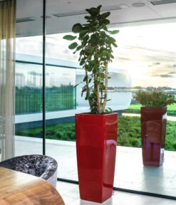 LECHUZA® CUBICO ALTO, All-in-One-Set, Ca. B40/H105/T40 Cm 7 LECHUZA® CUBICO ALTO, All-in-One-Set, Ca. B40/H105/T40 Cm -Garten Umfassend Geschäft 6962278 WE MO 01 CUBICOAltoRot