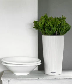 LECHUZA® CILINDRO Color, All-in-One Set 11 LECHUZA® CILINDRO Color, All-in-One Set -Garten Umfassend Geschäft 6963318 WE MO 03 CilindroColorWeiss