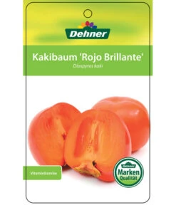 Dehner Kaki 'Rojo Brillante' - Kaki-Pflaume 'Rojo Brillante' 14 Dehner Kaki 'Rojo Brillante' - Kaki-Pflaume 'Rojo Brillante' -Garten Umfassend Geschäft 7167414 KakiRojoBrillante Etikett 01