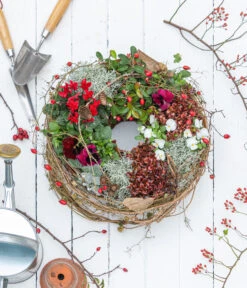 Rote Teppichbeere 11 Rote Teppichbeere -Garten Umfassend Geschäft 7192941 WE MO 001 RoteTeppichbeereGaultheria