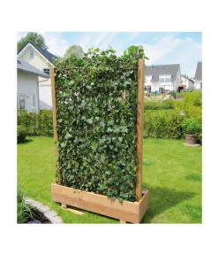 Hecke Am Laufenden Meter® 'Woerneri' - Efeu, Ca. 200 Cm -Garten Umfassend Geschäft 7208309 BildM 004 HederaHelixWoerneriHeckeAmLaufendenMeterHelix