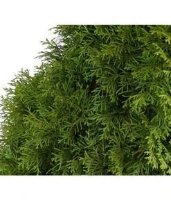 13 Meter Lebensbaum 'Smaragd', 40 X Ca. 80-100 Cm -Garten Umfassend Geschäft 7513534 WE DE 001 ThujaLebensbaumOccidentalisSmaragd20LDehnerExpressHerzig