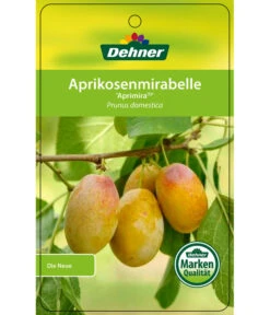 Dehner Aprikosenmirabelle 'Aprimira' -Garten Umfassend Geschäft 7600851 AprikosenmirabelleAprimira Etikett 1