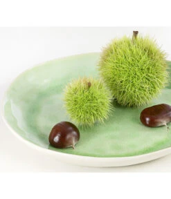 Esskastanie 'Bouche De Betizac' -Garten Umfassend Geschäft 7621998 PR DE 002 CastaneaSativaBetizacEsskastanieDehnerExpressHerzig