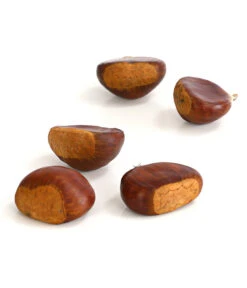 Esskastanie 'Bouche De Betizac' -Garten Umfassend Geschäft 7621998 WE DE 003 EsskastanieMaroneCastaneaSativaDehnerExpressHerzig