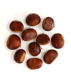 Esskastanie 'Bouche De Betizac' -Garten Umfassend Geschäft 7621998 WE FS 003 EsskastanieMaroneCastaneaSativaDehnerExpressHerzig