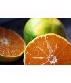 Rangpur-Limette 'Lima Rossa' 10 Rangpur-Limette 'Lima Rossa' -Garten Umfassend Geschäft 7622616 WE MO 001 RangpurLimettePixabay